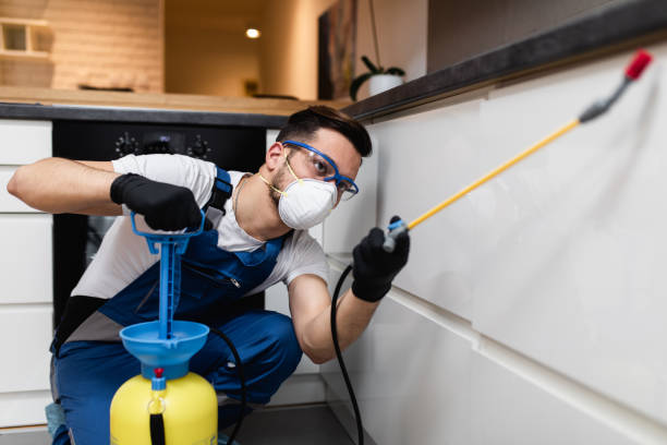 Best Wasp Removal Services  in Matawan, NJ
